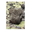 image06