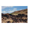 image02