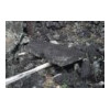 image21