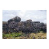image01