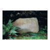 image02