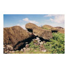 image14