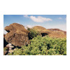 image15