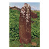image12