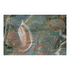 image10