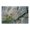 image15