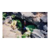 image01