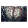 image09