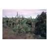 image02