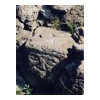 image02