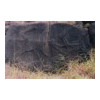 image15