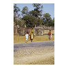 image12