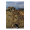 image12
