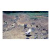 image11