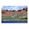 image10