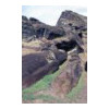 image19