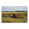 image01