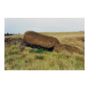 image02