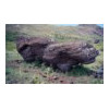 image10