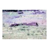 image11