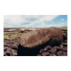 image01
