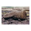 image02