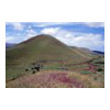 image01