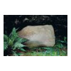 image05