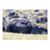 image03