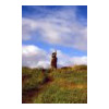 image01