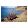 image02