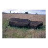 image02