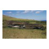 image01