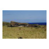 image02