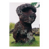 image02