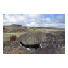 image10