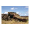 image12