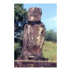 image03