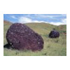 image12