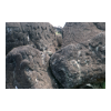 image04