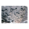 image05