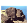 image15