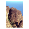 image21