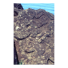 image22