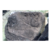 image23