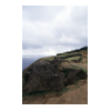 image02