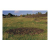 image10